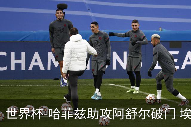 世界杯-哈菲兹助攻阿舒尔破门 埃及半场暂1-0澳大利亚