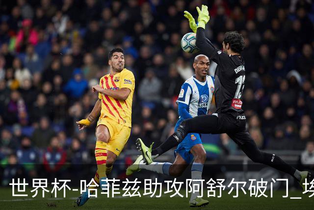 世界杯-哈菲兹助攻阿舒尔破门 埃及半场暂1-0澳大利亚